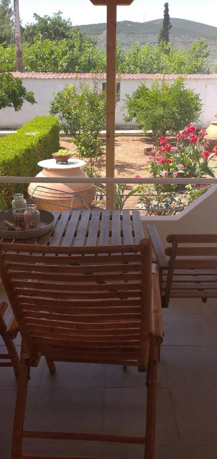 Δωματια Ξανθουλα Xanthoyla Rooms أماليابوليس المظهر الخارجي الصورة
